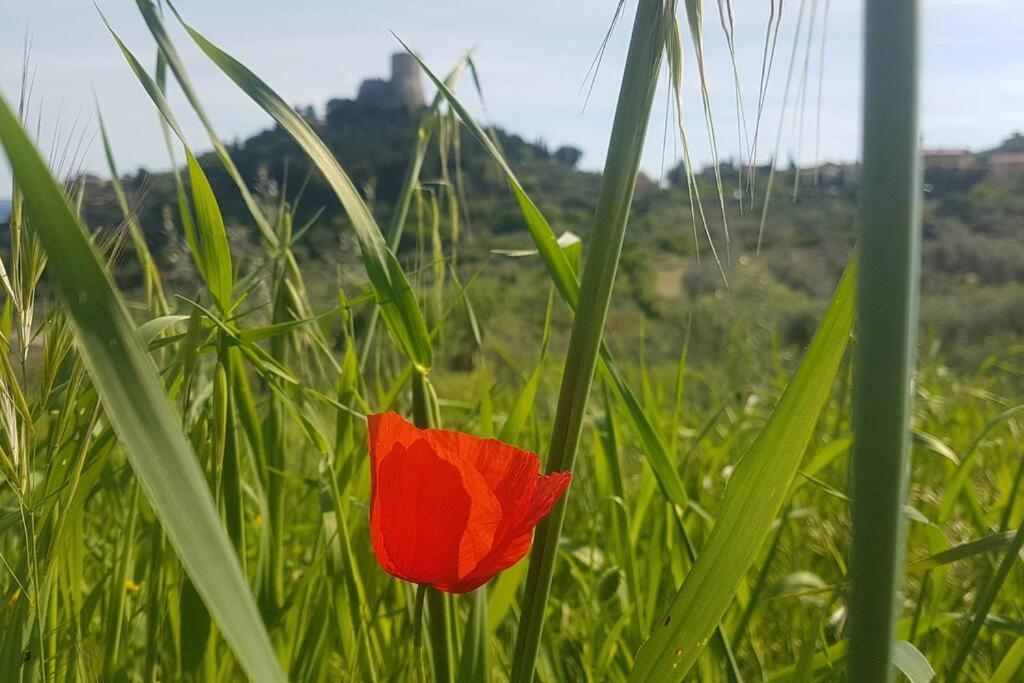 דירות Castiglione dʼOrcia La Casina Di Nonna Giulia מראה חיצוני תמונה